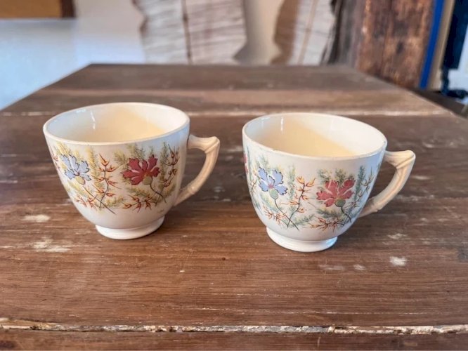 Paire de tasses à café Sarreguemines