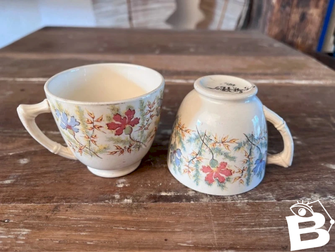 Paire de tasses à café Sarreguemines