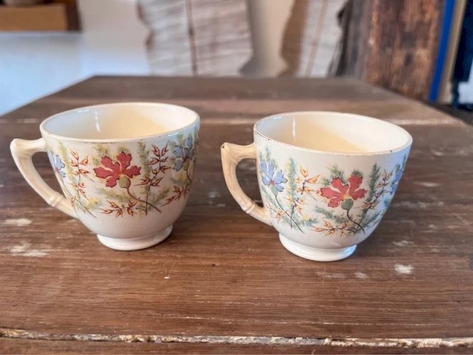 Paire de tasses à café Sarreguemines