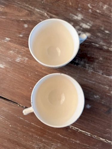 Paire de tasses à café Sarreguemines