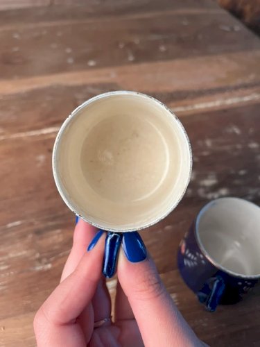 Paire de tasses Digoin Sarreguemines