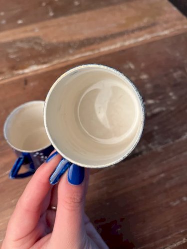 Paire de tasses Digoin Sarreguemines