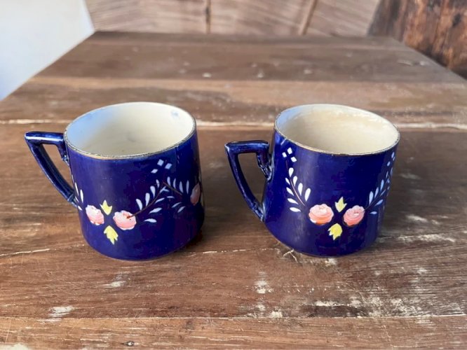 Paire de tasses Digoin Sarreguemines