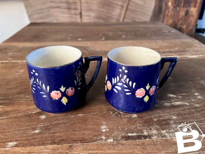 Paire de tasses Digoin Sarreguemines