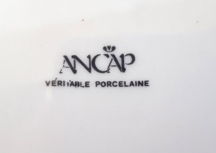 Paire délicats raviers porcelaine décor aux roses