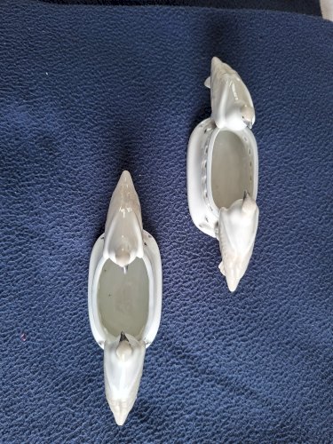 Paire oiseaux 