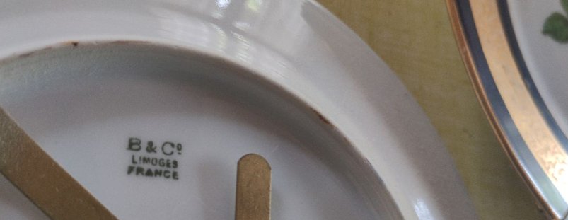 Paires d'Assiettes de collection Bernardaud (B & Co) Limoges - vers 1900