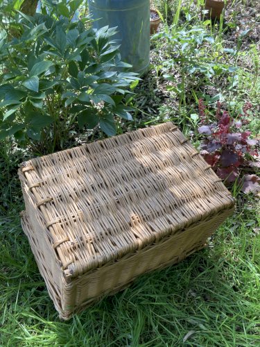 Panière ancienne en osier avec fermeture et poignée