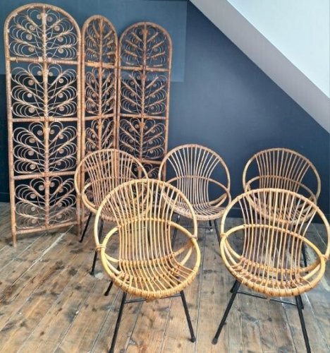 Paravent peacock vintage et sièges coquille rotin