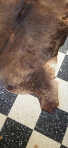 Cow / calf skin