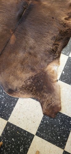 Peau de vache / veau