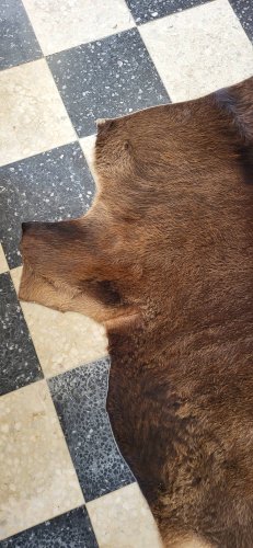 Peau de vache / veau