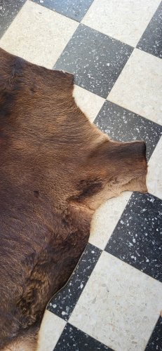 Peau de vache / veau