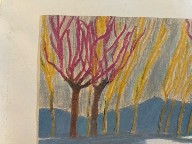 Peinture 1950 gouache Papier Paysage Automne Arbre A Identifier Forêt Art