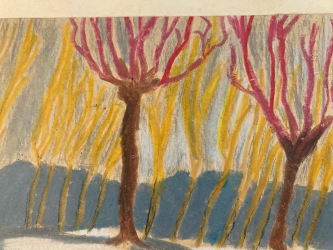 Peinture 1950 gouache Papier Paysage Automne Arbre A Identifier Forêt Art