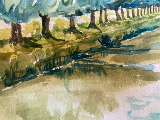 Peinture 1970 Papier Gouache À Identifier Paysage Canal Du Midi Toulouse Arbre