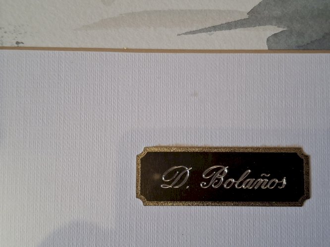 Peinture aquarelle originale signée de Dolors Bolanos, encadrée.