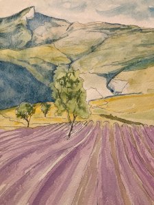 Watercolor Painting Provence Sainte Victoire Art 1990 To Identify Lavender