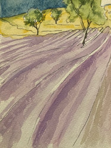 Peinture Aquarelle Provence Sainte Victoire Art 1990 A Identifier Lavande