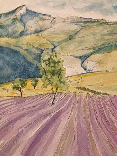 Peinture Aquarelle Provence Sainte Victoire Art 1990 A Identifier Lavande