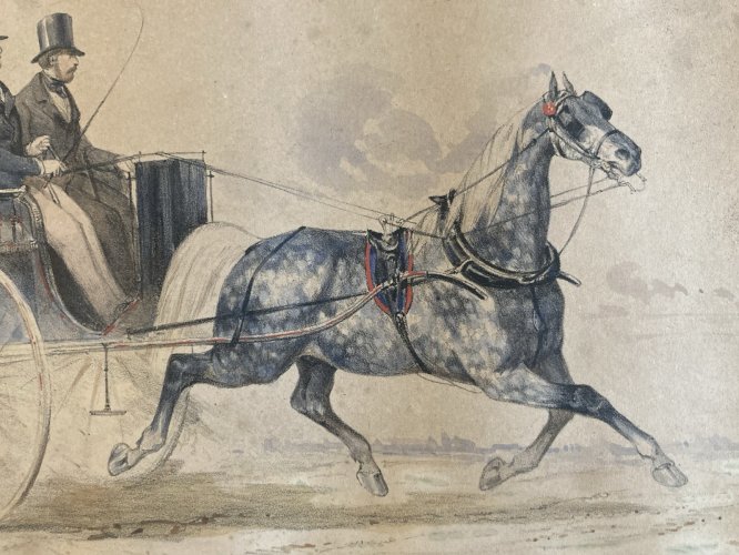 Peinture Aquarelle Sur Papier XIXe Charles DE LUNA Circa 1850 Cheval