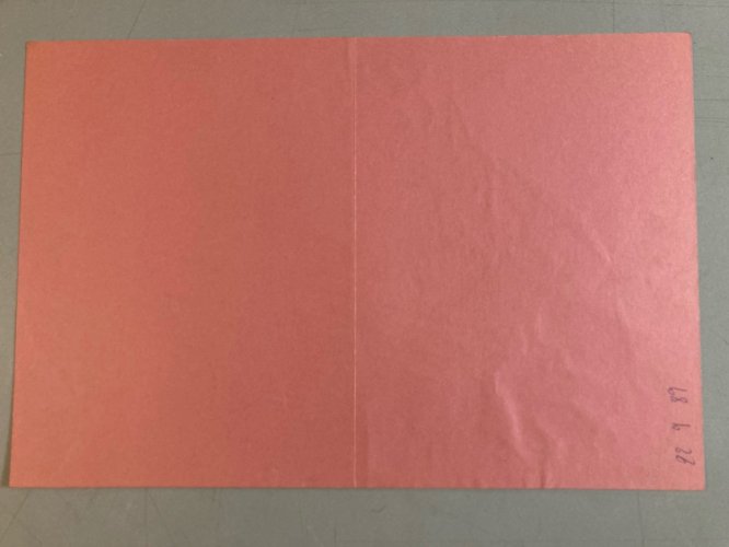 Peinture Dessin Encre Papier Rose 1980 Art Chat Animal Animaux Expressionniste