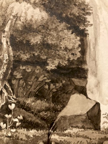 Peinture Dessin XIXe 1850 Encre Lavis Chute Eau Riviere Nature Ancien Suisse ?