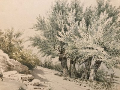 Original 19th Century Gouache Painting Watercolor Tree Landscape 1850 Antique