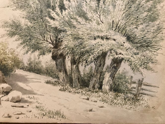 Peinture Gouache Original XIXe Art Aquarelle Arbre Paysage 1850 Ancien