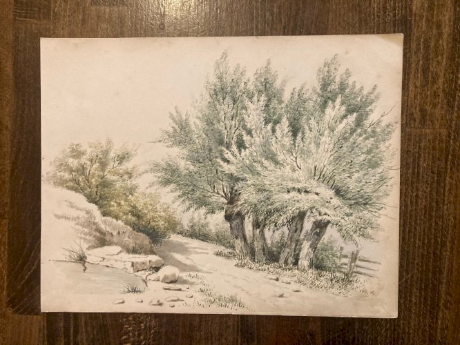 Peinture Gouache Original XIXe Art Aquarelle Arbre Paysage 1850 Ancien