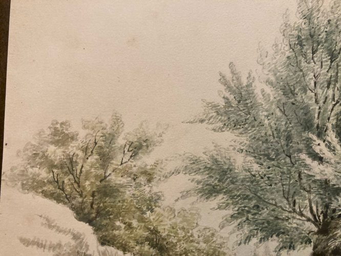 Peinture Gouache Original XIXe Art Aquarelle Arbre Paysage 1850 Ancien