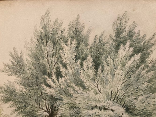 Peinture Gouache Original XIXe Art Aquarelle Arbre Paysage 1850 Ancien