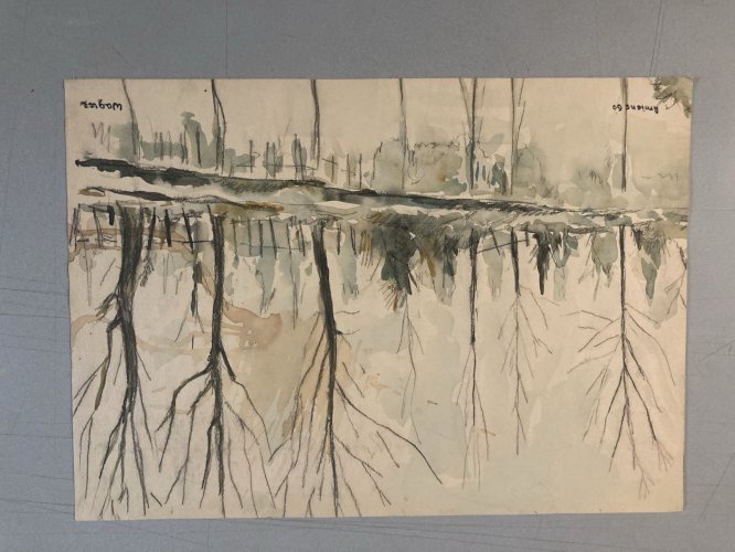 peinture Gouache Papier 1960 paysage Hortillonnage Amiens Ancien Art Canal