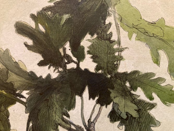 Peinture Gouache Sur Papier 1919 Forêt Chêne Arbre Branche Ancien Art