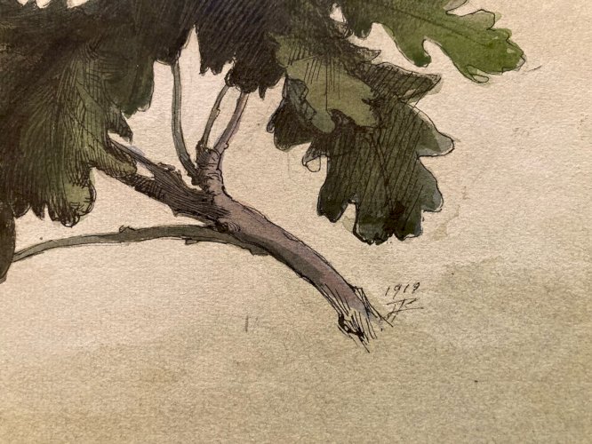 Peinture Gouache Sur Papier 1919 Forêt Chêne Arbre Branche Ancien Art