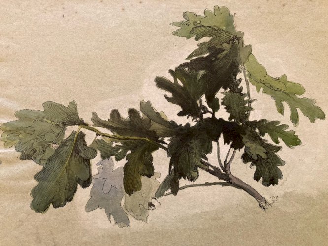 Peinture Gouache Sur Papier 1919 Forêt Chêne Arbre Branche Ancien Art