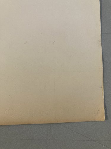 Peinture Gouache Sur Papier Dessin Épine Ronce Rose Circa 1970 Curiosité Curant