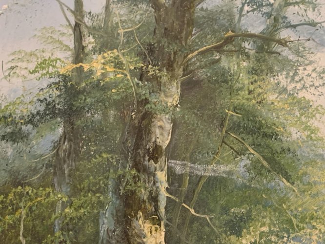 peinture huile au couteau paysage cervidés dans la forêt signé R Danford