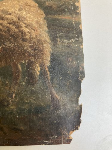 Peinture Huile Papier 1850 Art Mouton Chèvre Animal Animaux Ancien A Identifier