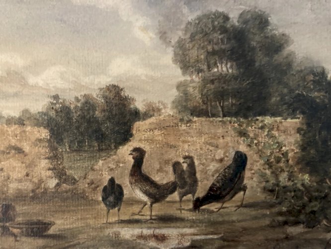 Peinture Huile Papier 1850 Poule Ferme Basse-cour Charles DE LAREMBERGUES