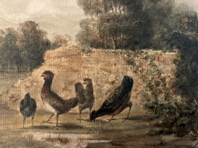 Peinture Huile Papier 1850 Poule Ferme Basse-cour Charles DE LAREMBERGUES