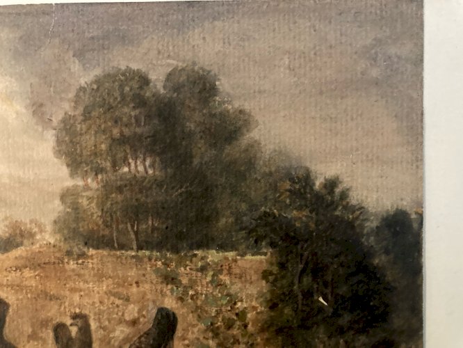 Peinture Huile Papier 1850 Poule Ferme Basse-cour Charles DE LAREMBERGUES