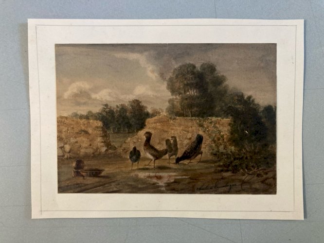 Peinture Huile Papier 1850 Poule Ferme Basse-cour Charles DE LAREMBERGUES