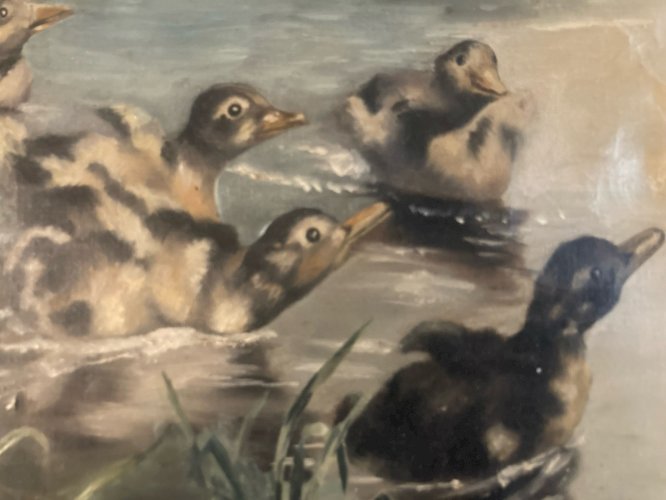 Peinture Huile Sur Toile Canard Lac Animal Animaux Nature 1920 Ancien Art