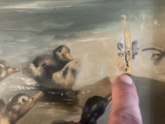 Peinture Huile Sur Toile Canard Lac Animal Animaux Nature 1920 Ancien Art