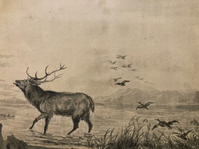 Wash Painting Ink on Paper 19th Century 1850 Deer Duck Bird Animal