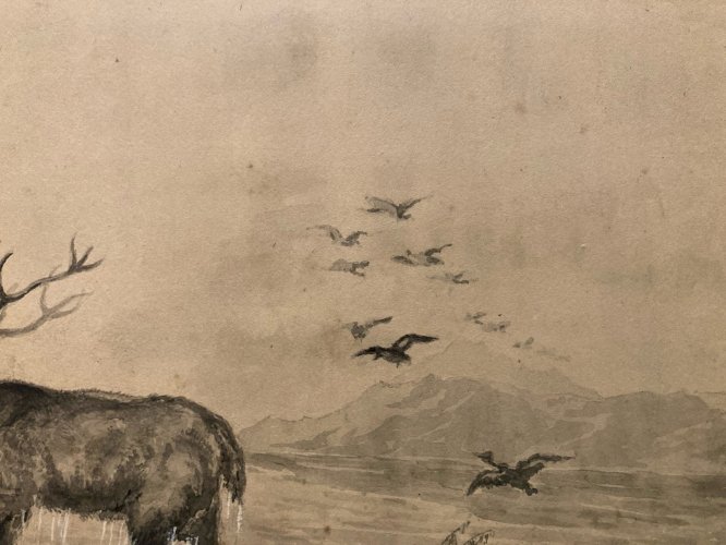 Peinture Lavis Encre Sur Papier XIXe  1850 Cerf Canard Oiseau Animal