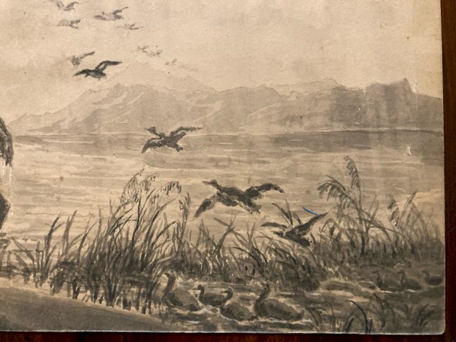 Peinture Lavis Encre Sur Papier XIXe  1850 Cerf Canard Oiseau Animal