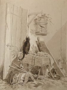 Peinture Lavis Encre Sur Papier XIXe  1850 Chat Animal Animaux Oiseau