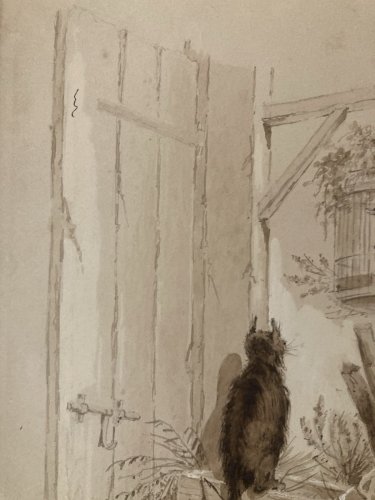 Peinture Lavis Encre Sur Papier XIXe  1850 Chat Animal Animaux Oiseau